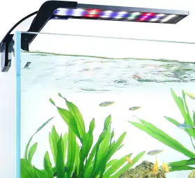 Aqqa Aq059 Aquarium Clip On Light Fish Tank Full Spectrum Led 24/7 Sunrise Sunri