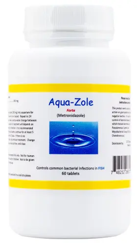 Aqua 748252266521 Aqua-zole Forte 500 Mg 60 Ct