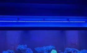 Aquaillumination 704335294898 66 Inch Ai Blade Coral Grow Smart Strip Led Light - Aquaillumination 704335294898 66 Inch Ai Blade Coral Grow Smart Strip Led Light -
