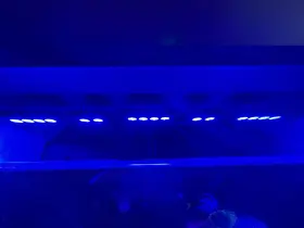 Aquaillumination D8976004075e Hydra 52 And 26s