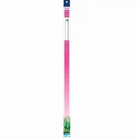 Aqueon 015905115575 T8 Actinic Blue Light Aquarium Lamp 24 Inch 17 Watt 11557