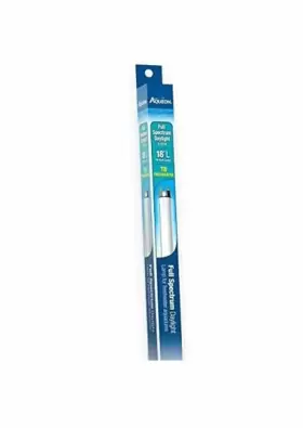 Aqueon 015905653565 New 18 Inch Full-spectrum Daylight T8 Freshwater Aquarium Lamp 15-watt