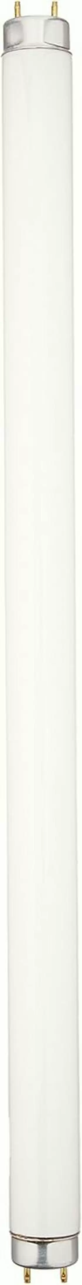 Aqueon 696573907794 00450 18-inch Colormax T8 Fluorescent Lamp 15-watt