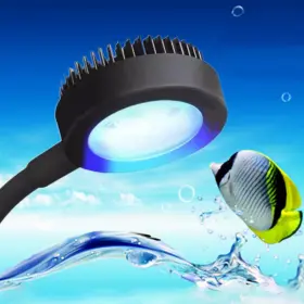Bigtron Ep05000 Full Spectrum Aquarium Light Small Clip For Fish Tank With 2 Blue 10 W