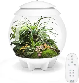 Biorb 71748 Air 30 Fully Automated Terrarium For Arid Temperate Or Tropical White