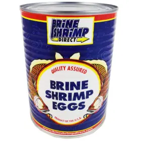 Brine Shrimp Direct 831350000330 Premium Grade Eggs 90% 16 Oz