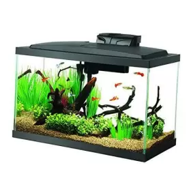 Central Garden & Pet 100527256 Aquarium Starter Kit With Led Lighting 10 Gallon