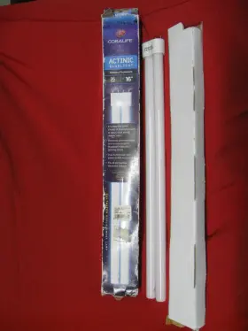 Coralife 096316540811 Actinic Aquarium Compact Fluorescent 36 Watt Light Bulb 16 Inch Straight Pin Coralife 096316540811 Actinic Aquarium Compact Fluorescent 36 Watt Light Bulb 16 Inch Straight Pin
