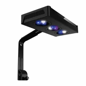 Corals Chat 639853984238 Coralschat Aquarium Reef Led Light 30w Cree Spectrum Marine Saltwater Coral