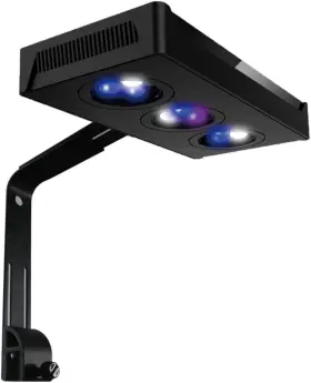 Corals Chat A018/a019 30w Reef Led Light For Marine Saltwater Coral Nano Tank