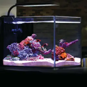 Current 842959040955 Orbit Marine Nano Led 16 Watt Reef Saltwater Aquarium Coral Light