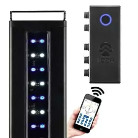 Current 842959042041 Usa 18-24 Inch Orbit Marine Ic Loop Led Saltwater Reef Aquarium Light