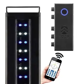 Current 842959042072 Usa 48-60 Inch Orbit Marine Ic Loop Led Saltwater Reef Aquarium Light