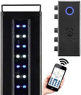Current 842959042089 Usa 72 Inch Orbit Marine Ic Loop Led Saltwater Reef Aquarium Current 842959042089 Usa 72 Inch Orbit Marine Ic Loop Led Saltwater Reef Aquarium
