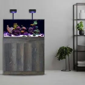 Current-usa 842959044212 Orbit R24 Reef Led Dual Light System With Bluetooth Control And Flex Arm
