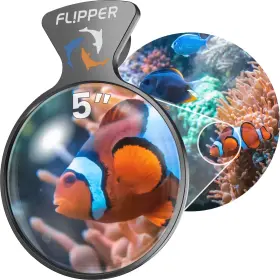 Fl Pper 652043949404 Deepsee Aquarium Magnifier Magnetic Viewer Fish Tank Magnifying Glass Mag Fl Pper 652043949404 Deepsee Aquarium Magnifier Magnetic Viewer Fish Tank Magnifying Glass Mag