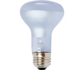 Hydrofarm B000uttk3e Agrosun/dayspot Burp413 Incandescent Growlight Plant Bulb 60 Watt