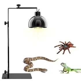 Kathson B0b59dhl77 Adjustable Metal Reptile Lamp Stand For Bearded Dragon Snakes