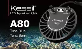 Kessil Ke34125 A80 Tuna Sun 15 Watt Freshwater Aquarium Led Light For Aquatics Plants
