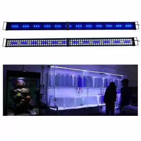 Kzkr 606794725794 Led Aquarium Hood Lighting 72-78 Inch Fish Tank Light Lamp For Freshwater Mar