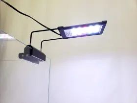 Lifegard R800081 High Output 5 Inch Full Spectrum Led Light With Mounting Bracket