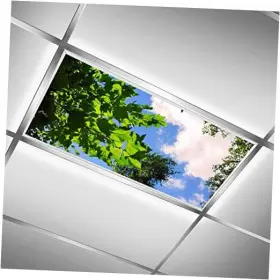 Maeda Narumi Ywg08955432p0269s1379 2ft X 4ft Fluorescent Light Covers Summer Green Canopy Tree Heaven