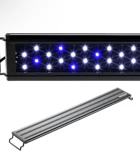 Newproduct Led-911 Aqua Led 10 Gallon Aquarium 12 Inch Fish Tank Cover Adjustable Blue White Lights