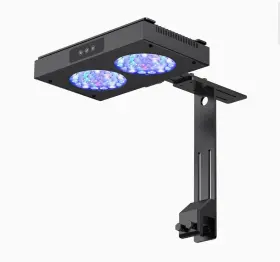 Nicrew N15562 Reef Led 100w Saltwater Aquarium Tilt Dimmablefull Spectrum Marine Nicrew N15562 Reef Led 100w Saltwater Aquarium Tilt Dimmablefull Spectrum Marine