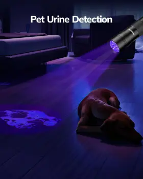 No 2061023 Black Light Flashlight Mini Torch Pet Urine Detector For Dog/cat