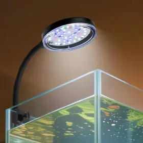 Novique 1-nvmul Clip On Aquarium Light 8w Led Fish Tank With Full Spectrum And Dimmable Brig