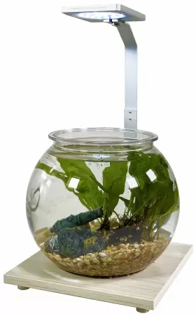 Penn-plax 030172101052 Penn-plax Eco-sphere Fishbowl And Led Light Kit Use As A Fish Tank Planter