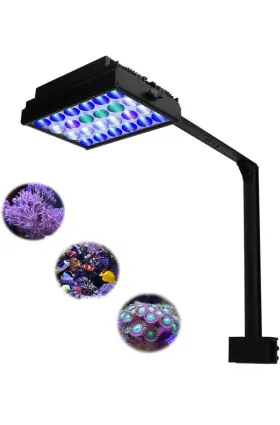 Popbloom Shannon16pro Led Aquarium Light Full Spectrum For 24 Inch 60cm Marine Reef Coral Tank