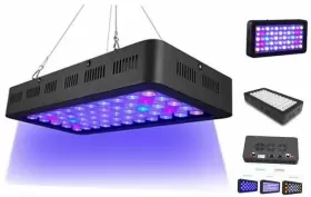 Shenzhen Dexinggao Optical Co. Ltd Al-165 Arknoah Led Aquarium Light 165w Full Spectrum Dimmable For Fish Tank 165.0