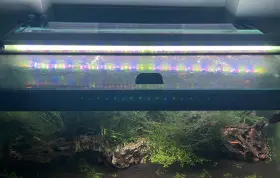 Twinstar 900ea Light Iv Ea Series Led Adjustable Type