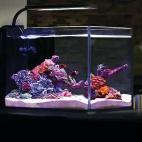 Usa 4095 Orbit Marine Nano Led 16 Watt Reef Saltwater Aquarium Coral Light Wit Usa 4095 Orbit Marine Nano Led 16 Watt Reef Saltwater Aquarium Coral Light Wit