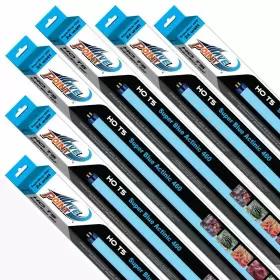 Wave Point 805552012767 6-pack Super Blue 460 39-watt Universal Aquarium Lamp