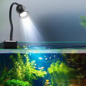 Wonming 768771842273 Aquarium Light Focus For Fish Tank Indoor Led Big Clip Lamp Adjus