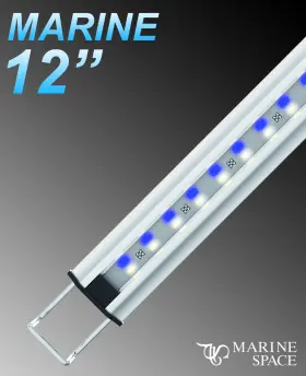 Zetlight 928286353648 Marine Space Led Light - 12 Inch -16 Ms-30m