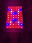 Wills Grow Light Led For Indoor Plants Full Spectrum. Fixed Price $34.99.